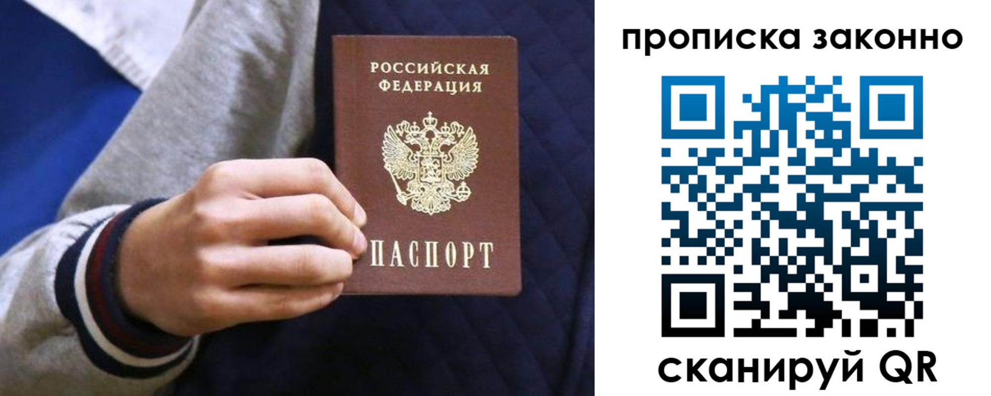 прописка гарантия в Стародубе